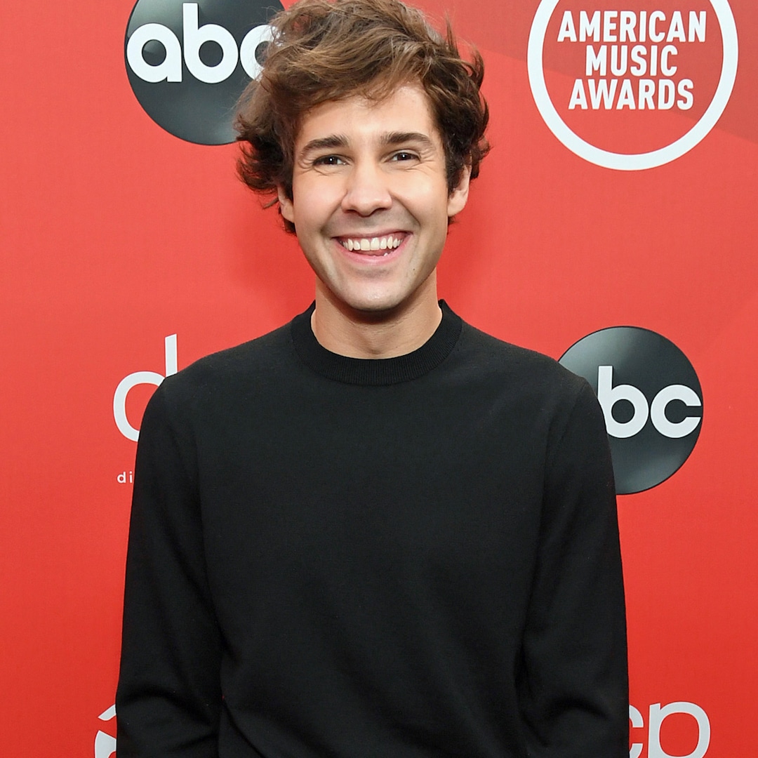 David Dobrik Apologizes for "Mistakes" Amid Allegations Over Videos - E